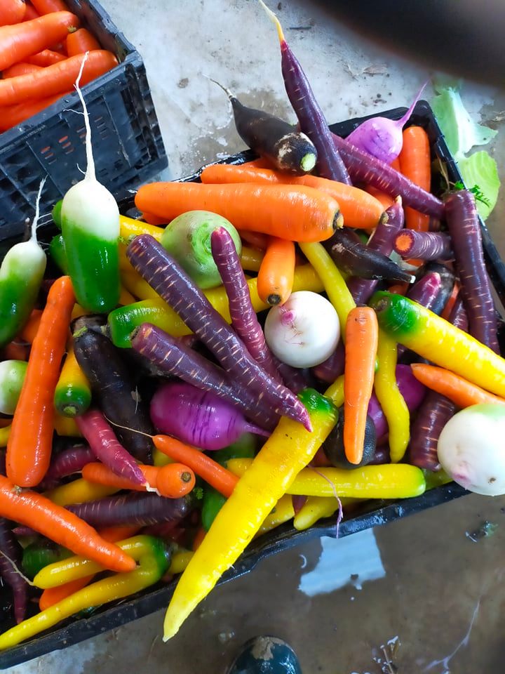 photo légumes